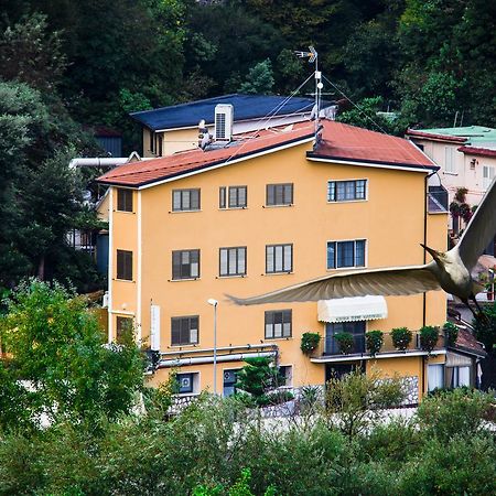 Albergo Terme Santamaria 卡斯泰尔福尔泰 外观 照片
