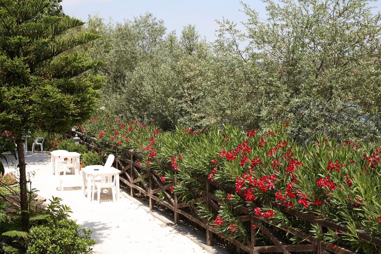 Albergo Terme Santamaria 卡斯泰尔福尔泰 外观 照片